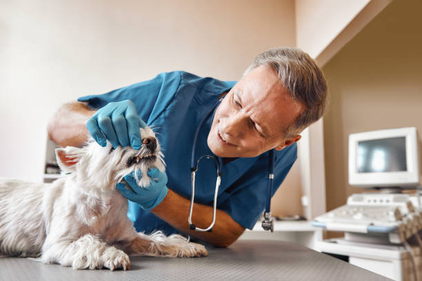 Best Emergency Tooth Extraction in Keystone Heights, FL